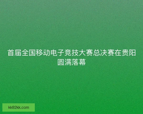首届全国移动电子竞技大赛总决赛在贵阳圆满落幕
