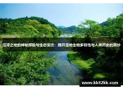 沼泽之地的神秘探险与生态变迁：揭开湿地生物多样性与人类历史的面纱