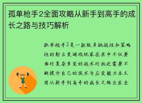 孤单枪手2全面攻略从新手到高手的成长之路与技巧解析